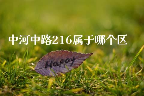 中河中路216属于哪个区_https://wap.jnlaobingbanjia.com_财经资讯_第1张