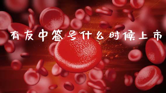 有友中签号什么时候上市_https://wap.jnlaobingbanjia.com_财务管理_第1张