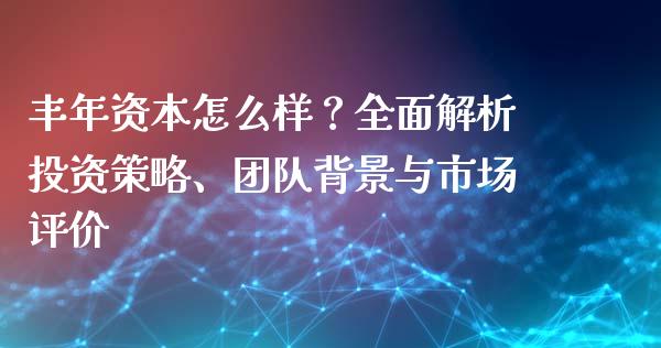 丰年资本怎么样？全面解析投资策略、团队背景与市场评价_https://wap.jnlaobingbanjia.com_金融理财_第1张