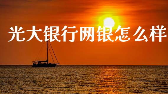 光大银行网银怎么样_https://wap.jnlaobingbanjia.com_金融理财_第1张