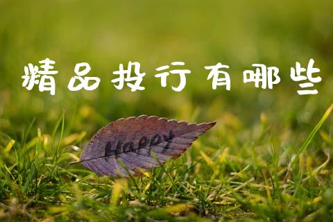精品投行有哪些_https://wap.jnlaobingbanjia.com_基金分析_第1张