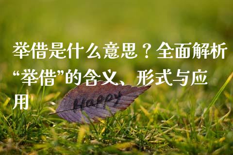 举借是什么意思？全面解析“举借”的含义、形式与应用_https://wap.jnlaobingbanjia.com_股市行情_第1张