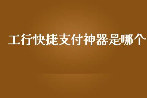 工行快捷支付神器是哪个_https://wap.jnlaobingbanjia.com_证券公告_第1张