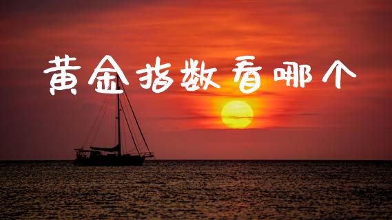 黄金指数看哪个_https://wap.jnlaobingbanjia.com_证券公告_第1张