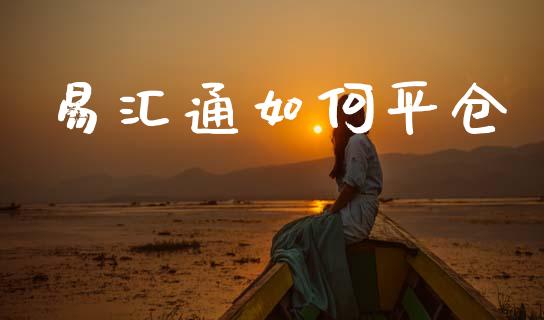 易汇通如何平仓_https://wap.jnlaobingbanjia.com_财务管理_第1张