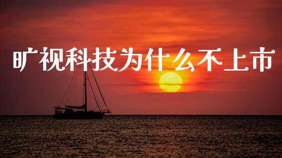 旷视科技为什么不上市_https://wap.jnlaobingbanjia.com_股市行情_第1张