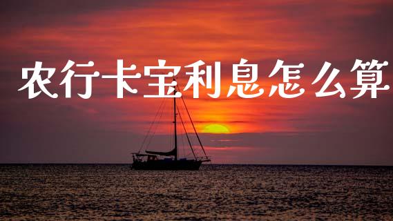 农行卡宝利息怎么算_https://wap.jnlaobingbanjia.com_基金分析_第1张
