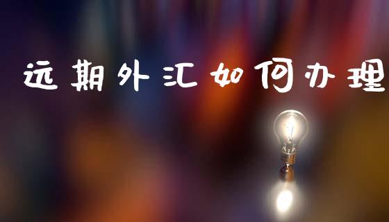 远期外汇如何办理_https://wap.jnlaobingbanjia.com_基金分析_第1张
