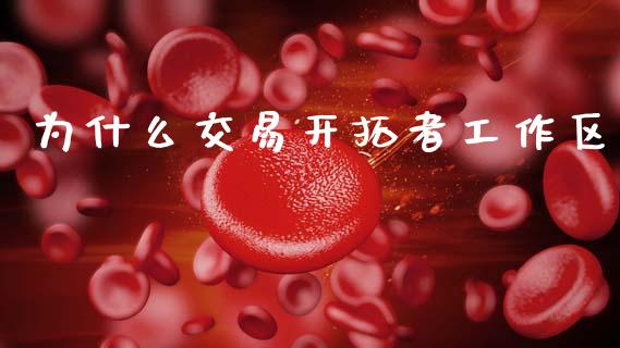 为什么交易开拓者工作区_https://wap.jnlaobingbanjia.com_证券公告_第1张