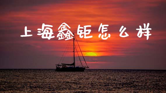 上海鑫钜怎么样_https://wap.jnlaobingbanjia.com_财经资讯_第1张