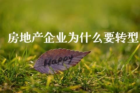 房地产企业为什么要转型_https://wap.jnlaobingbanjia.com_财经资讯_第1张