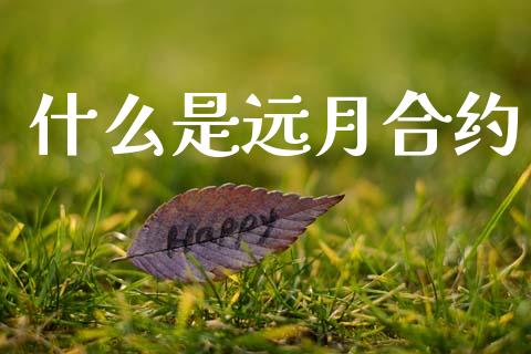 什么是远月合约_https://wap.jnlaobingbanjia.com_金融理财_第1张