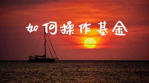如何操作基金_https://wap.jnlaobingbanjia.com_财经资讯_第1张