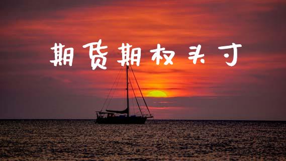 期货期权头寸_https://wap.jnlaobingbanjia.com_证券公告_第1张