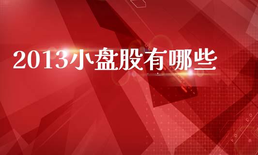 2013小盘股有哪些_https://wap.jnlaobingbanjia.com_基金分析_第1张