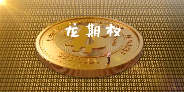 龙期权_https://wap.jnlaobingbanjia.com_财务管理_第1张