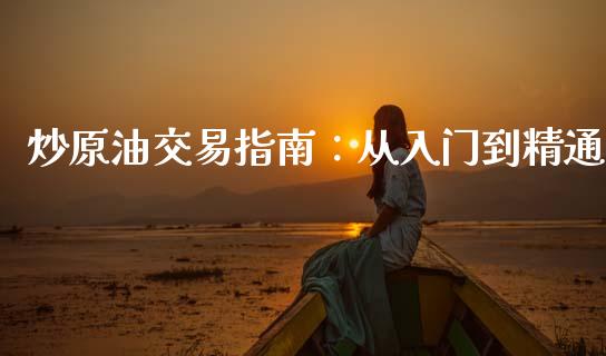 炒原油交易指南：从入门到精通_https://wap.jnlaobingbanjia.com_财务管理_第1张
