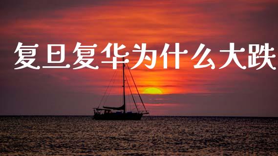 复旦复华为什么大跌_https://wap.jnlaobingbanjia.com_财经资讯_第1张