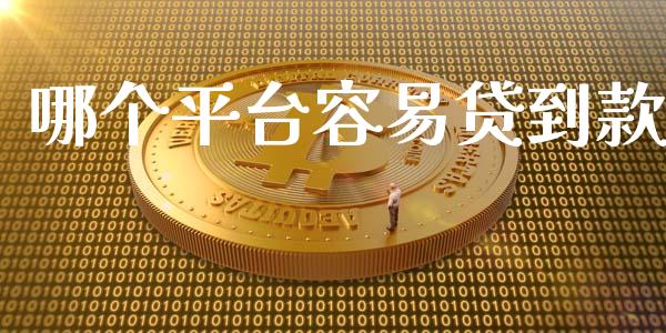 哪个平台容易贷到款_https://wap.jnlaobingbanjia.com_金融理财_第1张