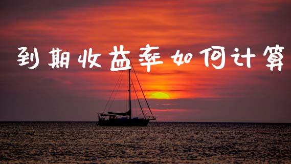 到期收益率如何计算_https://wap.jnlaobingbanjia.com_财务管理_第1张