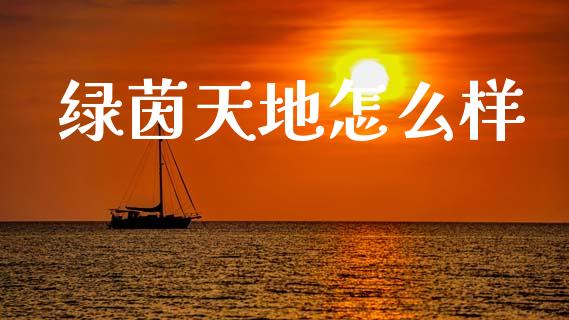 绿茵天地怎么样_https://wap.jnlaobingbanjia.com_股市行情_第1张