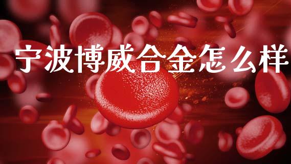 宁波博威合金怎么样_https://wap.jnlaobingbanjia.com_股市行情_第1张
