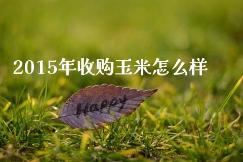 2015年收购玉米怎么样_https://wap.jnlaobingbanjia.com_股市行情_第1张