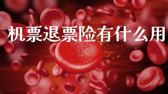 机票退票险有什么用_https://wap.jnlaobingbanjia.com_金融理财_第1张