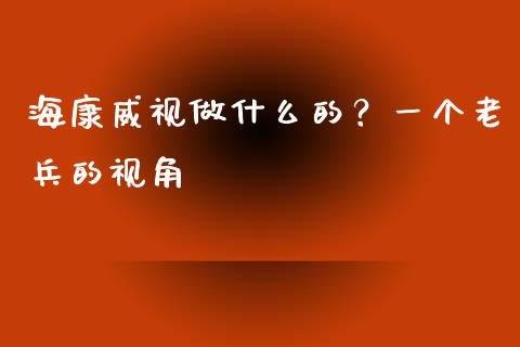 海康威视做什么的？一个老兵的视角_https://wap.jnlaobingbanjia.com_财务管理_第1张