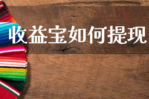收益宝如何提现_https://wap.jnlaobingbanjia.com_财经资讯_第1张