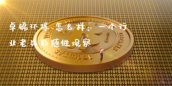 卓锦环保 怎么样：一个行业老兵的随性观察_https://wap.jnlaobingbanjia.com_证券公告_第1张
