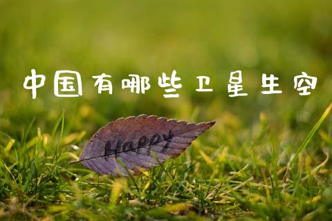 中国有哪些卫星生空_https://wap.jnlaobingbanjia.com_财务管理_第1张