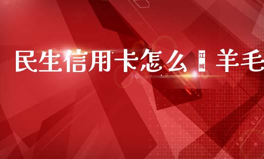民生信用卡怎么薅羊毛_https://wap.jnlaobingbanjia.com_财务管理_第1张