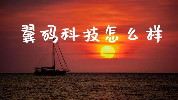 翼码科技怎么样_https://wap.jnlaobingbanjia.com_财经资讯_第1张