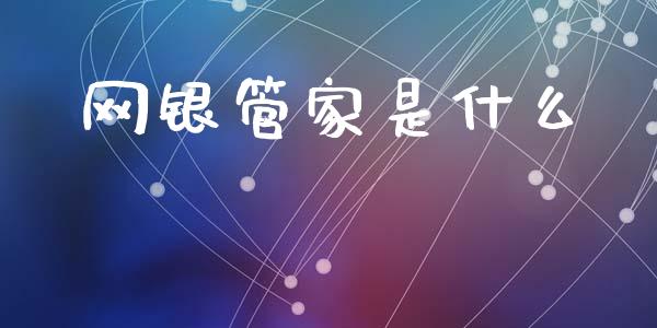 网银管家是什么_https://wap.jnlaobingbanjia.com_财经资讯_第1张