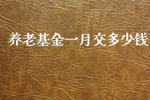 养老基金一月交多少钱_https://wap.jnlaobingbanjia.com_股市行情_第1张