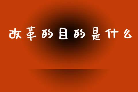 改革的目的是什么_https://wap.jnlaobingbanjia.com_金融理财_第1张