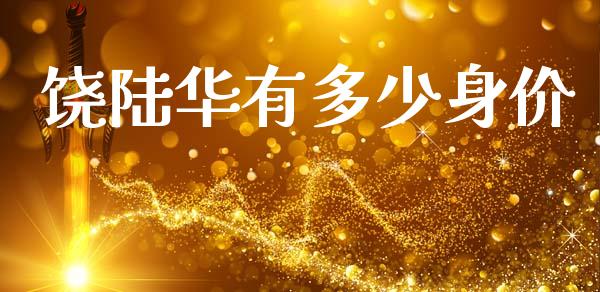 饶陆华有多少身价_https://wap.jnlaobingbanjia.com_证券公告_第1张