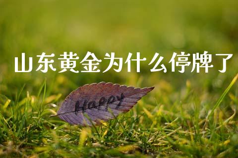 山东黄金为什么停牌了_https://wap.jnlaobingbanjia.com_基金分析_第1张