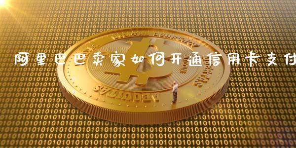 阿里巴巴卖家如何开通信用卡支付_https://wap.jnlaobingbanjia.com_证券公告_第1张