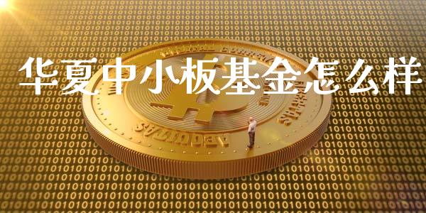 华夏中小板基金怎么样_https://wap.jnlaobingbanjia.com_金融理财_第1张