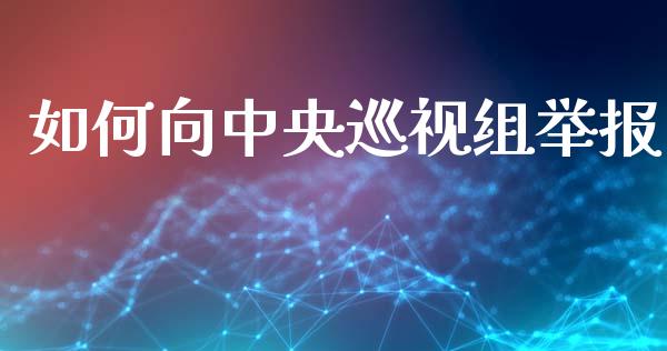 如何向中央巡视组举报_https://wap.jnlaobingbanjia.com_证券公告_第1张