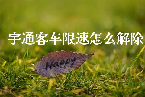 宇通客车限速怎么解除_https://wap.jnlaobingbanjia.com_财经资讯_第1张