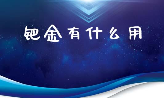 钯金有什么用_https://wap.jnlaobingbanjia.com_证券公告_第1张