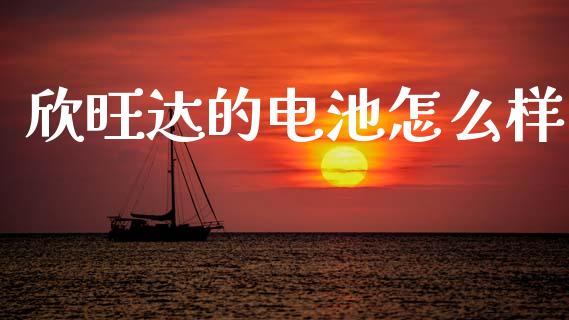 欣旺达的电池怎么样_https://wap.jnlaobingbanjia.com_证券公告_第1张
