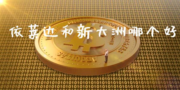 依莱达和新大洲哪个好_https://wap.jnlaobingbanjia.com_金融理财_第1张