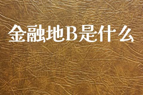 金融地B是什么_https://wap.jnlaobingbanjia.com_基金分析_第1张