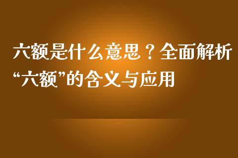 六额是什么意思？全面解析“六额”的含义与应用_https://wap.jnlaobingbanjia.com_证券公告_第1张