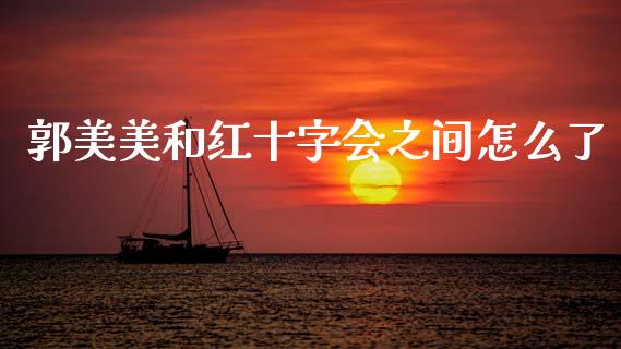 郭美美和红十字会之间怎么了_https://wap.jnlaobingbanjia.com_财务管理_第1张