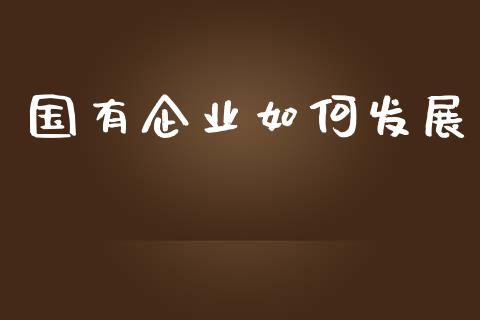 国有企业如何发展_https://wap.jnlaobingbanjia.com_财务管理_第1张